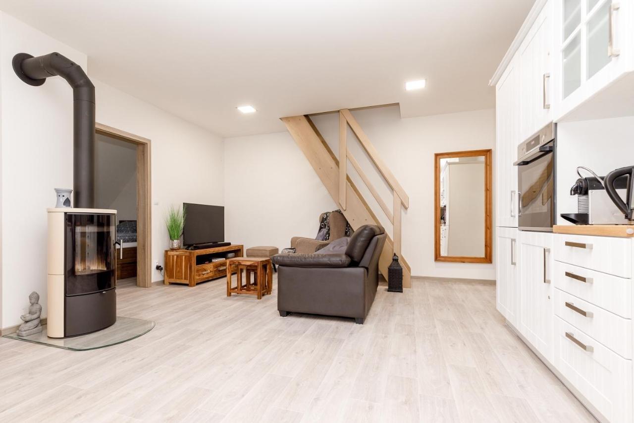 Apartment Ness Boží Dar Eksteriør billede