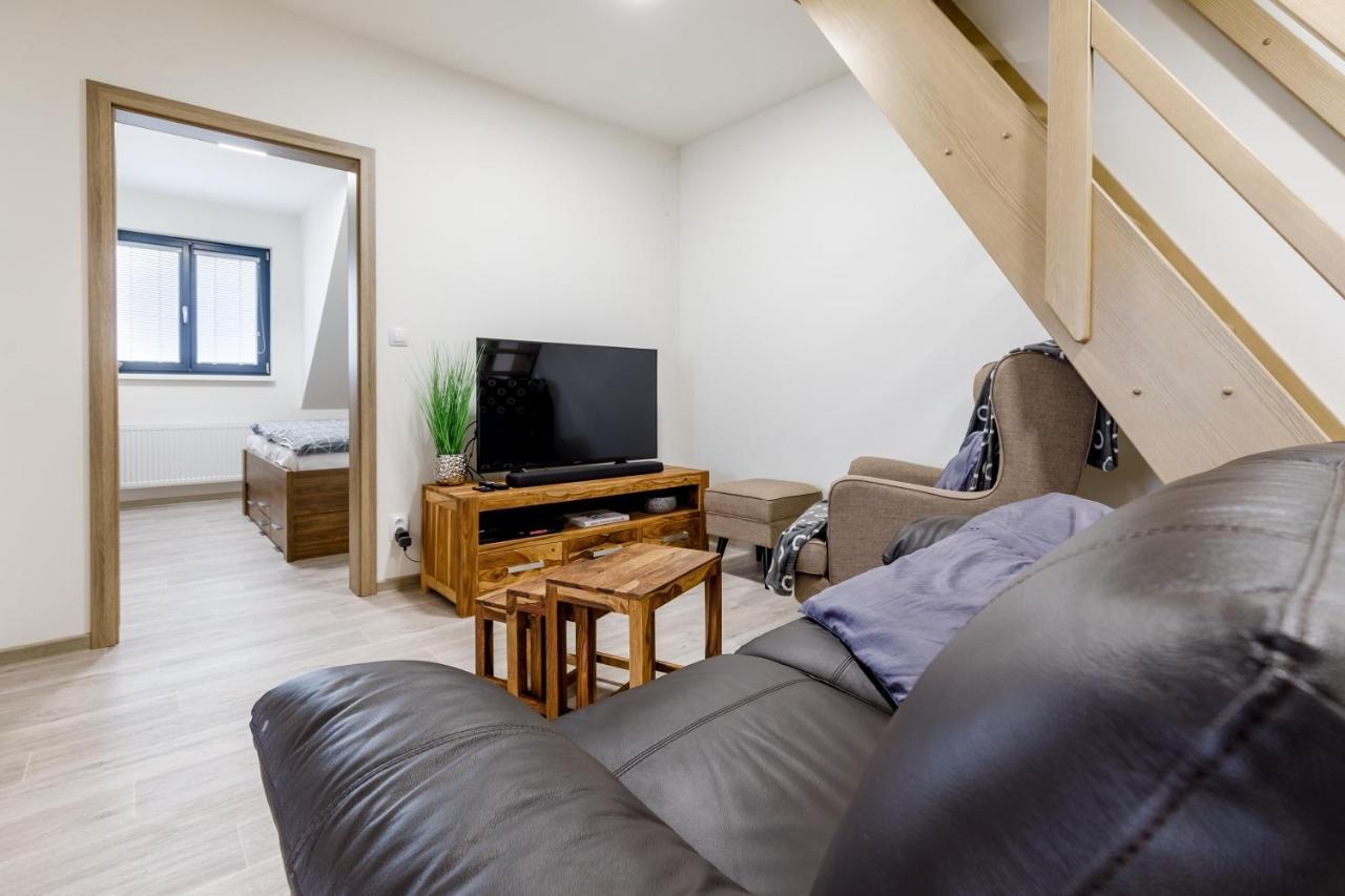 Apartment Ness Boží Dar Eksteriør billede