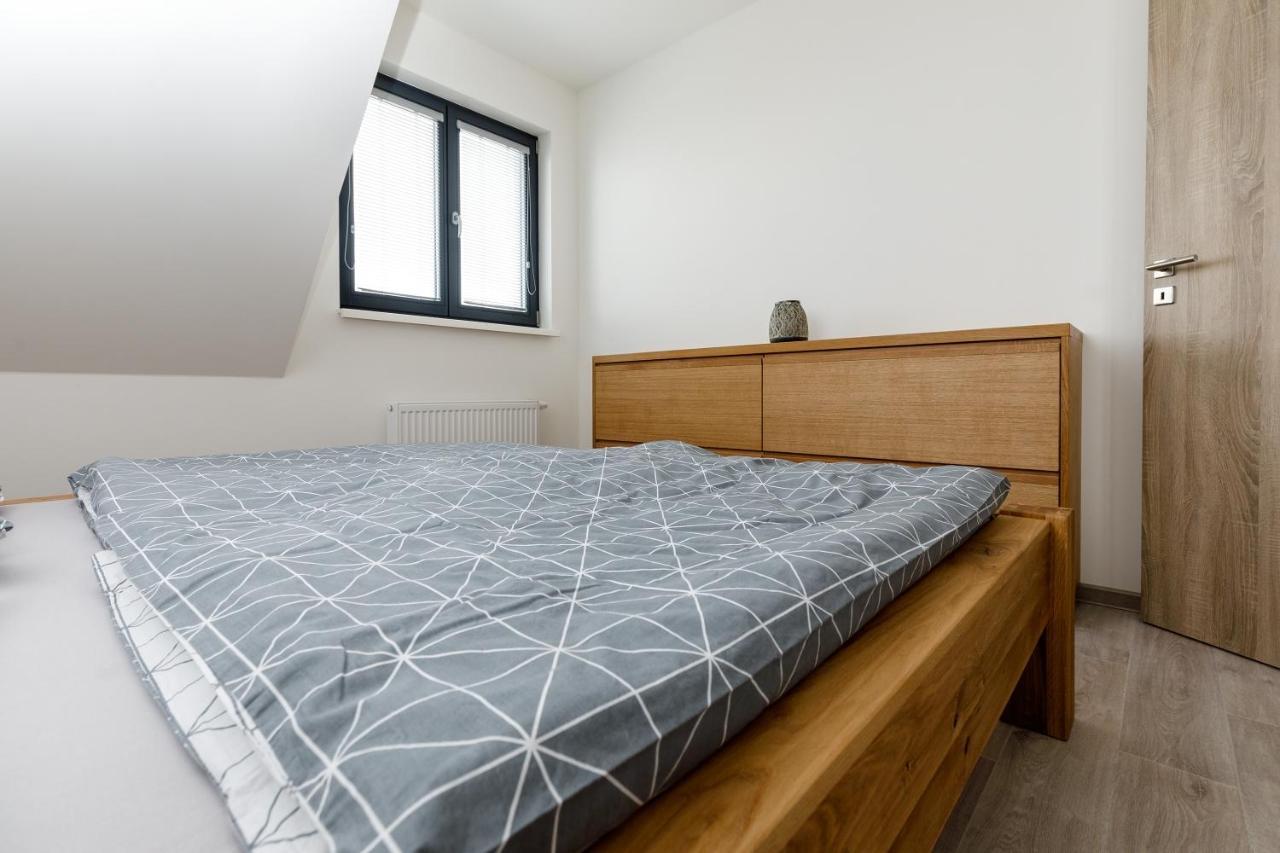 Apartment Ness Boží Dar Eksteriør billede